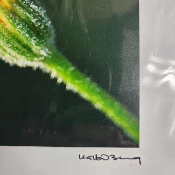 Korbin Berg Mount Horeb, WI Fine Art Photographer/Nature Print 8.5x11" - Picture 5 of 6